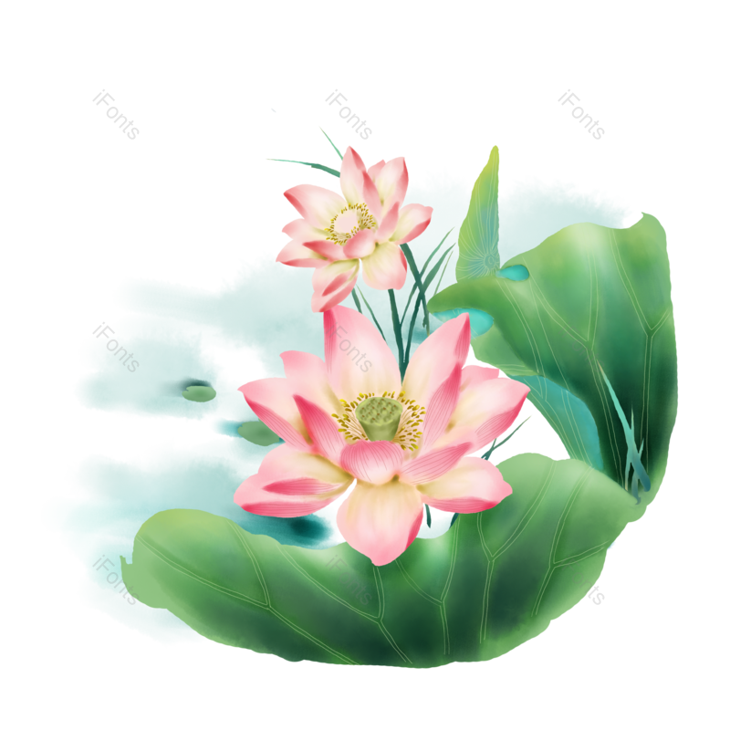 夏至图片,荷花元素,夏天PNG,插画免抠素材